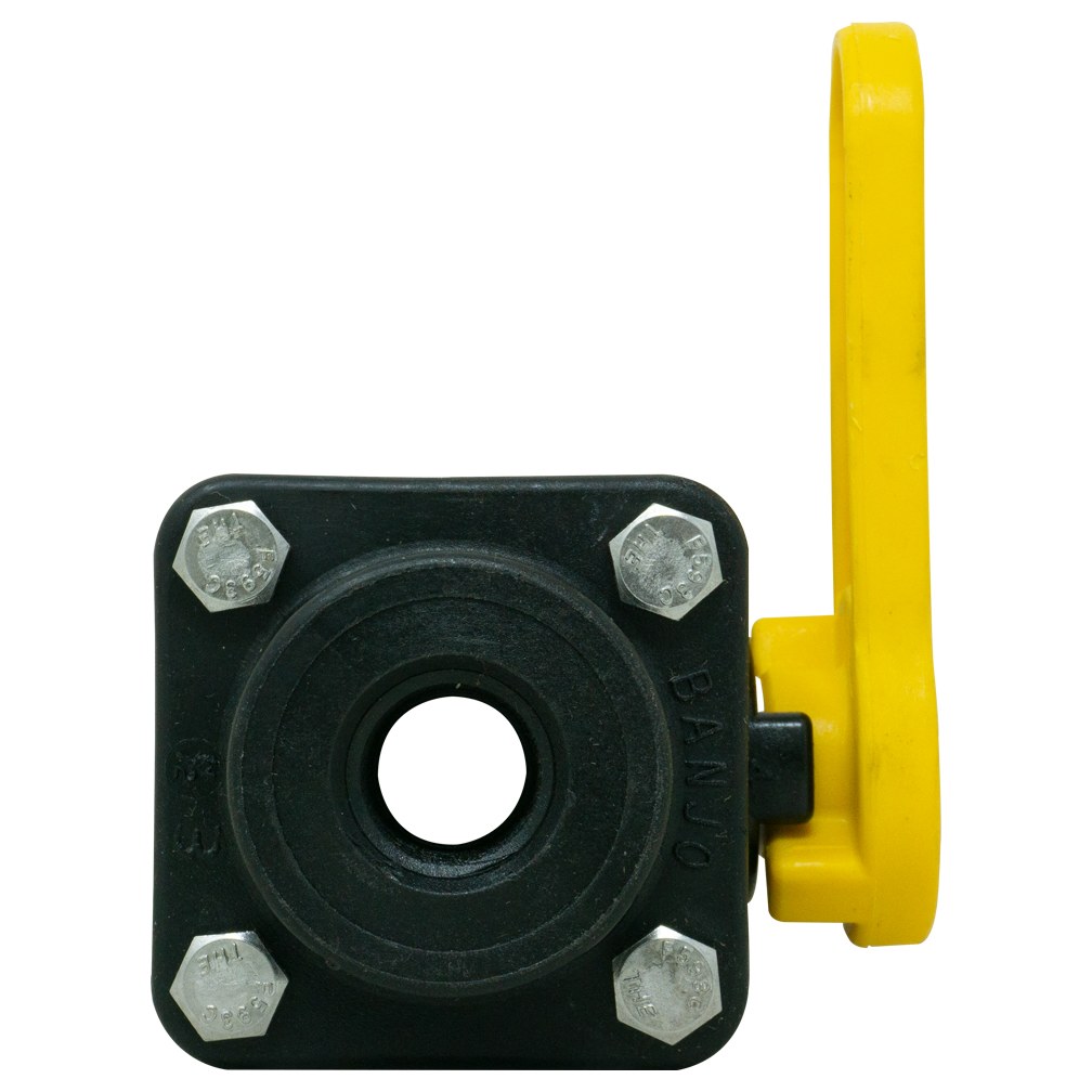 MSC20187 image 2