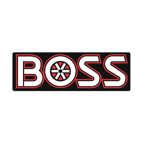 Boss Plow Decals & Labels