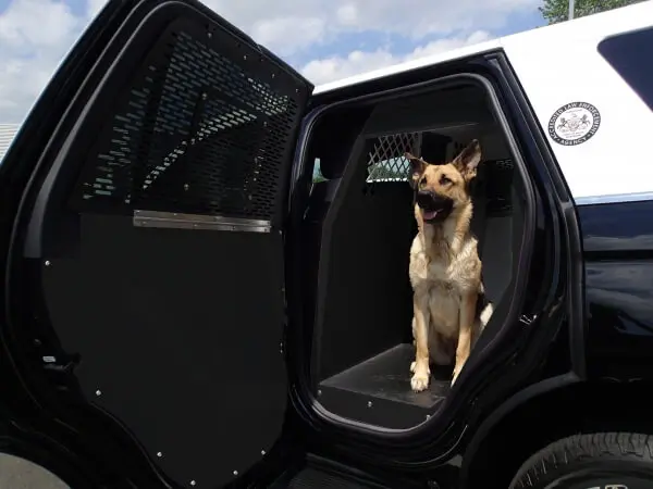 Havis Expedition K9 Units (2018-2024)