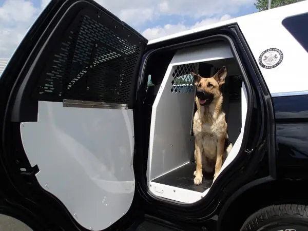 Havis K9 Units - Expedition