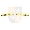 Whelen Tahoe Visor Lights