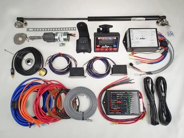 AceK9 Heat Alarm + Door Pop