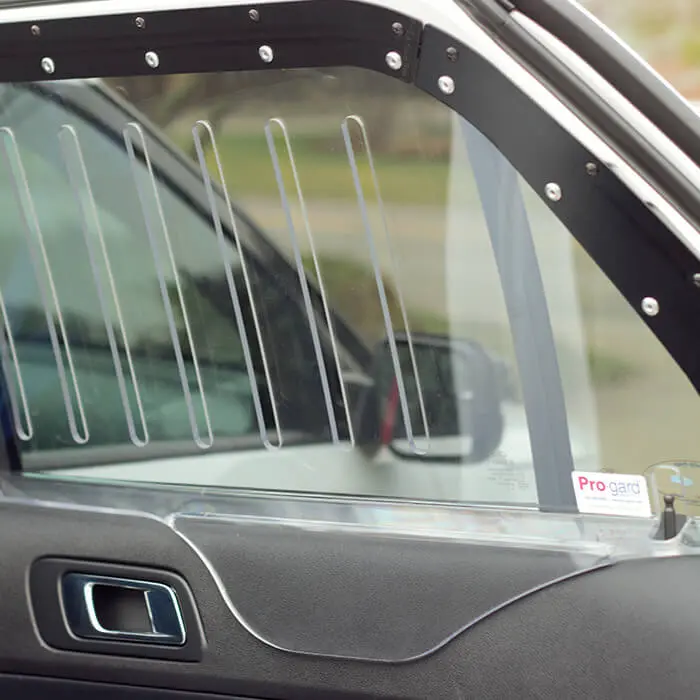 ProGard Window Bars - F-150 / Super Duty