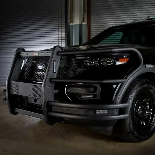 FedSig Headlight Guards